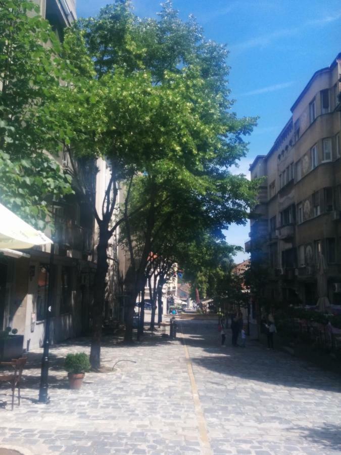 Apartment Treci Belgrad Dış mekan fotoğraf